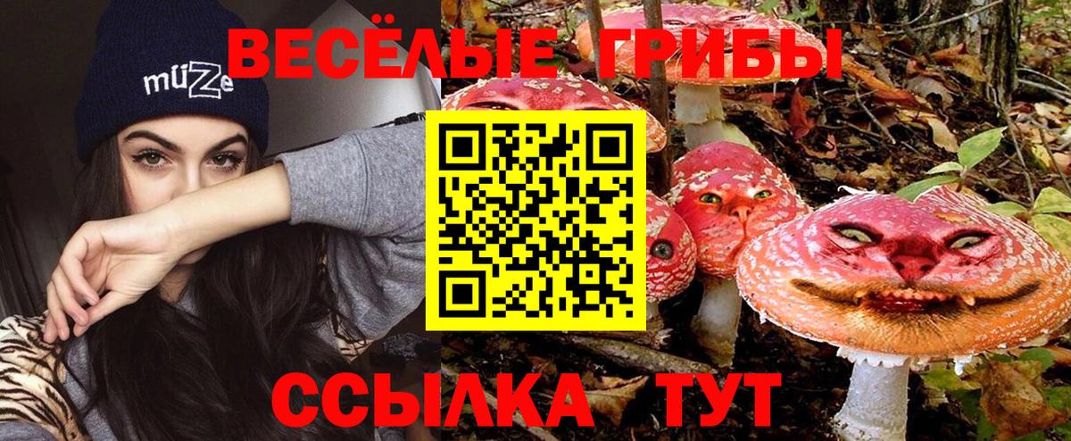 Псилоцибиновые грибы Magic Shrooms Кореновск